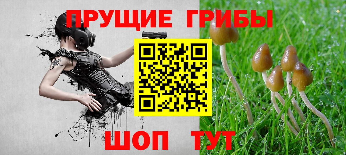 Псилоцибиновые грибы Magic Shrooms Чебоксары