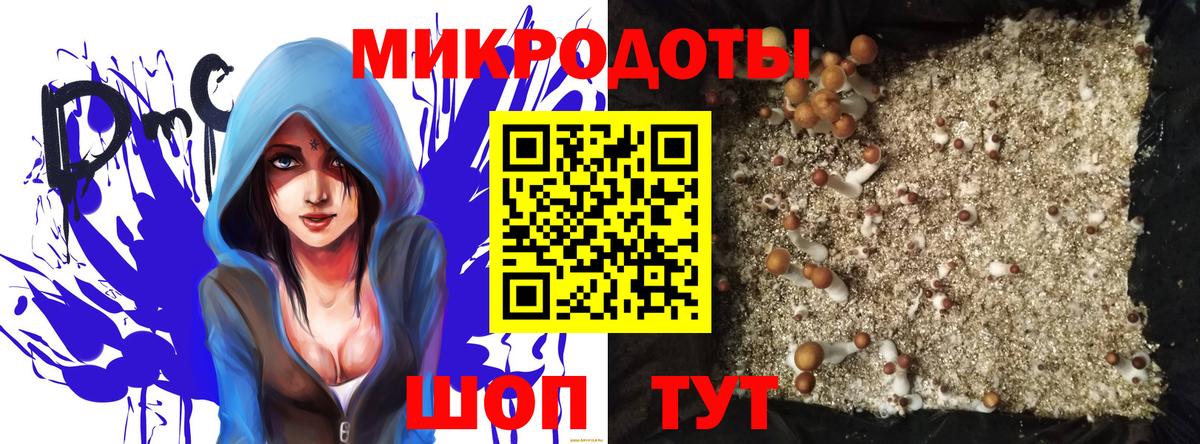 Галлюциногенные грибы MAGIC MUSHROOMS  купить  цена  Чебоксары  Вход с VPN 